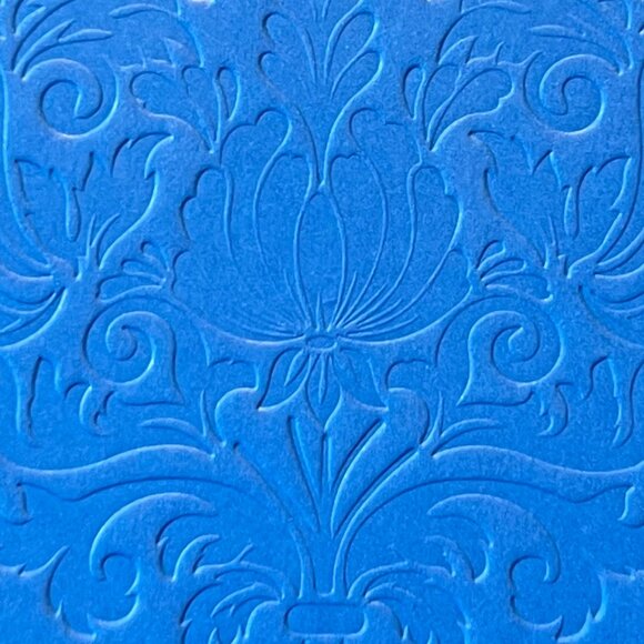 Debating Darcy by Sayantani DasGupta ~ YA Fiction ~ YA Novel ~ YA Literature - Picture 10 of 11